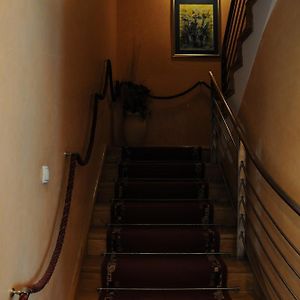 Hotel Terex